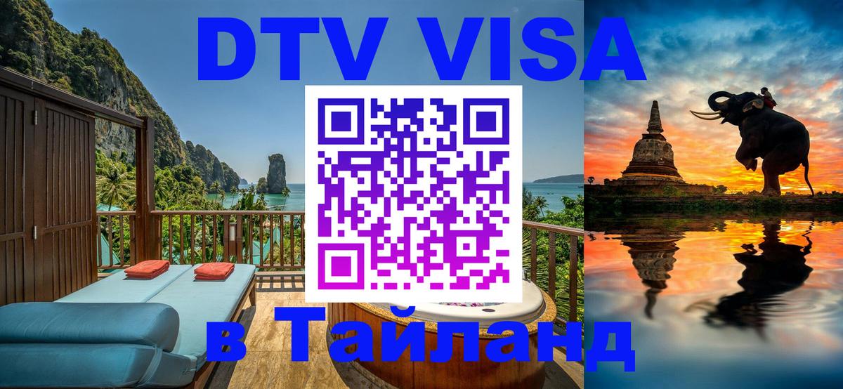 Сколько стоит DTV виза — актуальные цены, оформление даже без документов - 10.01.2026 